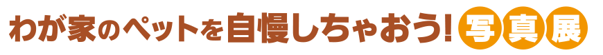 わが家のペットを自慢しちゃおう！写真展