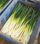 旬、十色 クッキングサポート 2026年2月